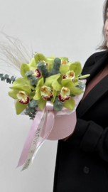 Зеленая орхидея в коробке