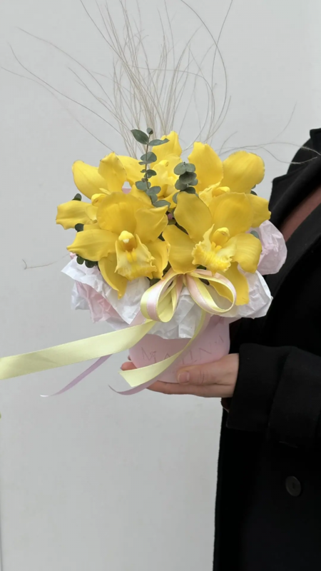 Limonnie orhidei v korobke, standart