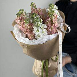 Монобукет бело-персиковой маттиолы