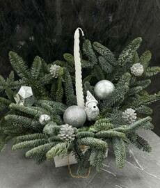 Новогодняя живая композиция из нобилиса (живых веток ели)