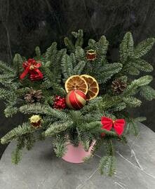 Новогодняя композиция из живого нобилиса (живых веток ели)