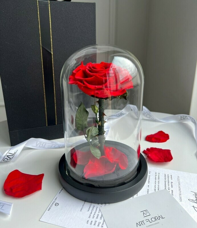 Красная роза в колбе, красная роза в колбе