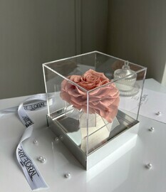 Vechnaya temno-rozovaya roza v forme sredtca v kube