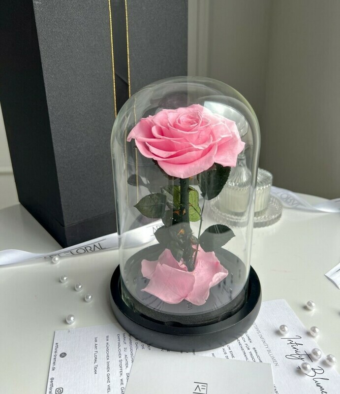 Розовая роза в колбе, розовая роза в колбе