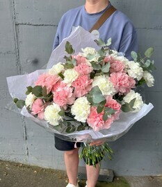 Пастельные диантусы