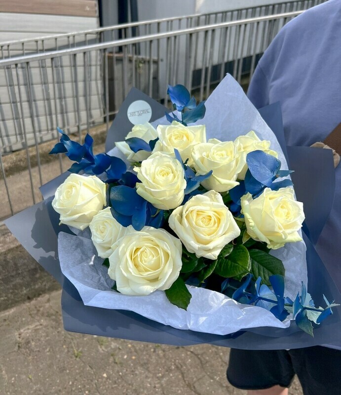 Severnoe siyanie, standart