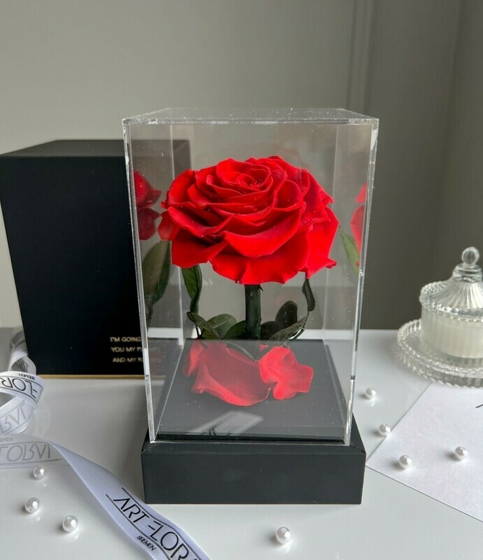 Вечная красная роза в черной акриловой башне, 1 красная роза в черной акриловой башне