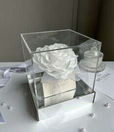 Vechnaya roza v forme serdtca v kube