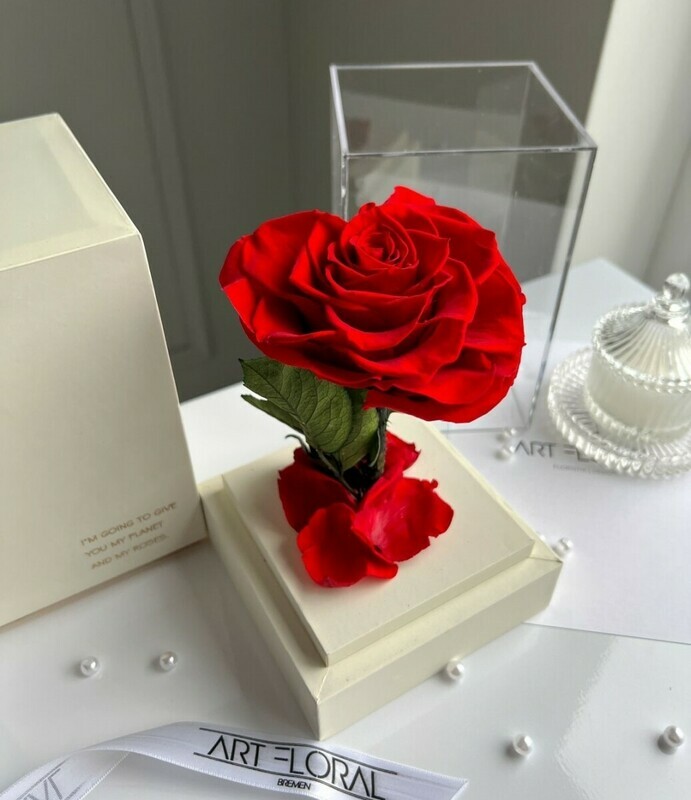 Вечная красная роза-сердце в белой акриловой башне, вечная красная роза-сердце в белой акриловой башне