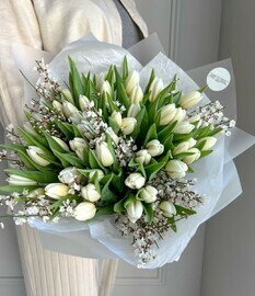 Белые тюльпаны и гениста