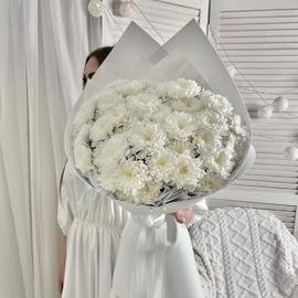Buket belih hrizantem v dizajnerskoj upakovke (razmer L bol_she srednego)