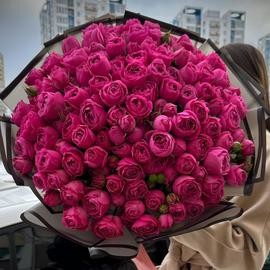 Buket pionovidnih roz Misti Babls 51 vetka