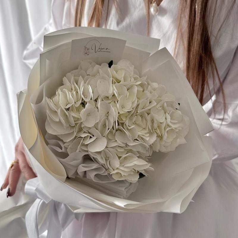 Gortenziya belaya v dizajnerskoj upakovke, standart