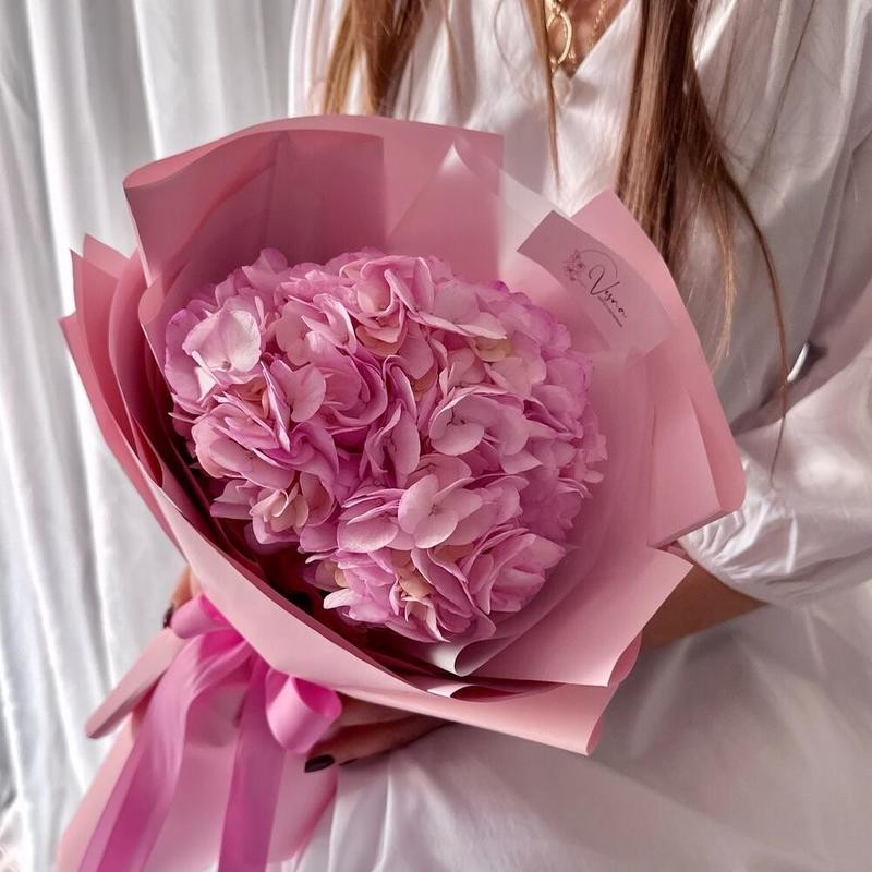 Gortenziya rozovaya v dizajnerskoj upakovke, standart