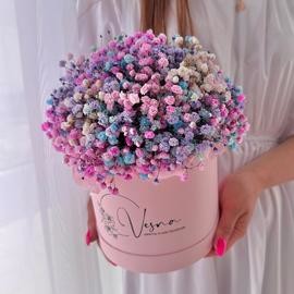 Gipsofila v korobkeRazmer M