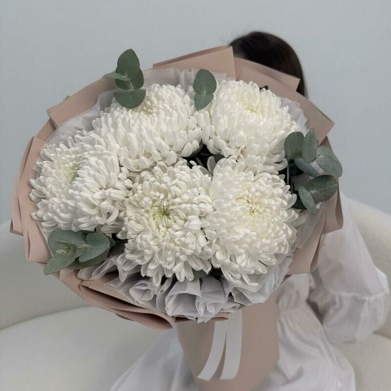 Хризантема бигуди белая с эвкалиптом в дизайнерской упаковке  Размер S, стандартный