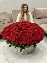 501 premium roza v korzine 60 sm