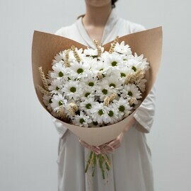 Милые Хризантемы