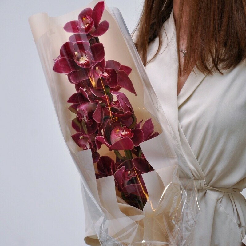 A Branch of a Maroon Orchid, svetlaya upakovka