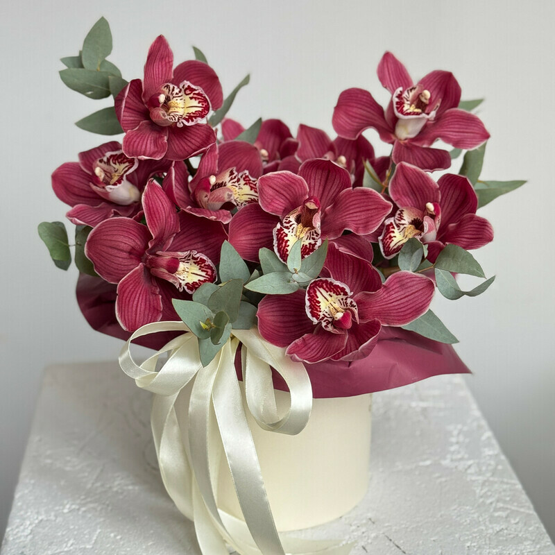 Barhatnie Orhidei, reduced