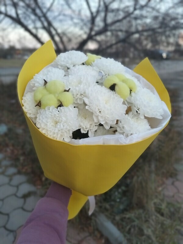 Buket iz hrizantemi s limonnim hlopkom (3 sht), standart