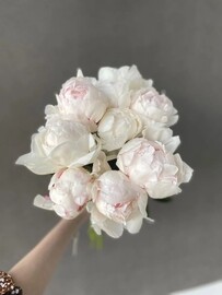 Букет из белых пионов (7 шт)