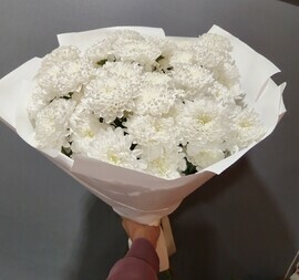 Buket iz belih hrizantem (9 sht)