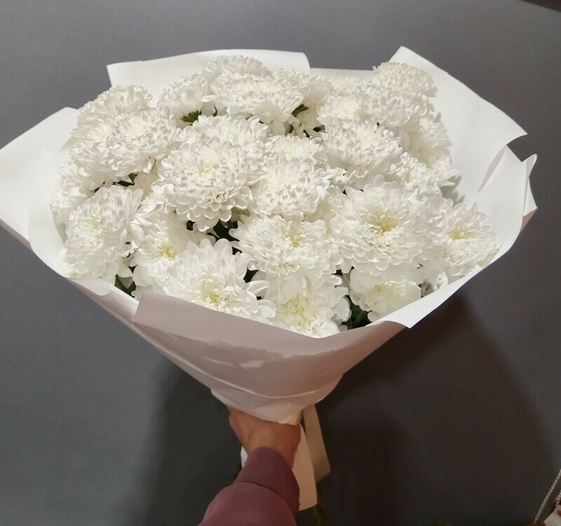 Buket iz belih hrizantem (9 sht), standart