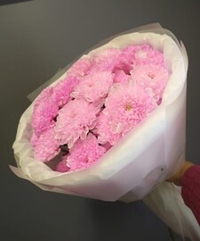 Buket iz rozovoj hrizantemi (5 sht)