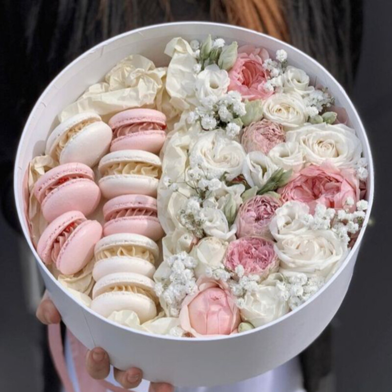 Фрунзенский поцелуй, уменьшенный