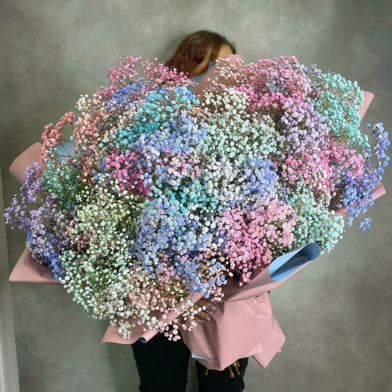 A huge bouquet of colorful gypsophila, standart