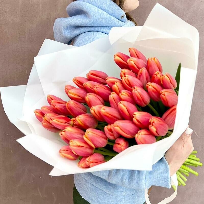 51 krupnij ognenno-krasnij tyul_pan v belom, 51 krupnij ognenno-krasnij tyul_pan v belom