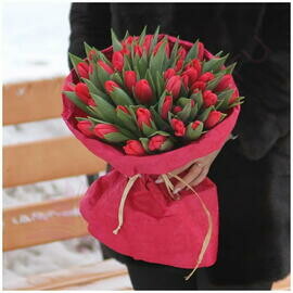 Букет из красных тюльпанов 51шт