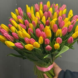 Букет из цветных тюльпанов 101 шт