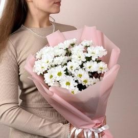 Нежный букет из 3 кустов ромашек (хризантемы «Кеннеди»)