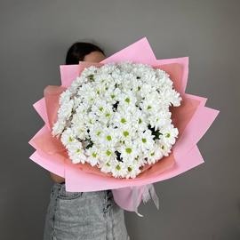 Огромный букет ромашковых хризантем