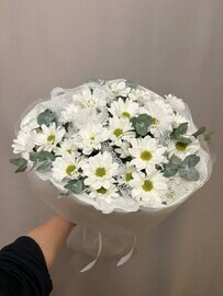 Букет из 5 Хризантем