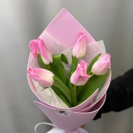 5 тюльпанов