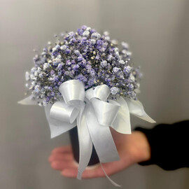 Гипсофила в кофейном стаканчике 