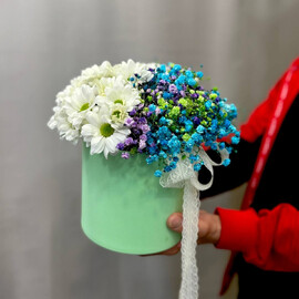 TCveti v korobke Hrizantema Gipsofil