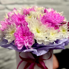 Хризантема в шляпной коробке 