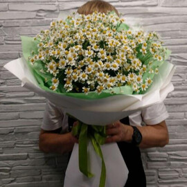 Букет Ромашковое поле 