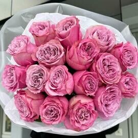 Pionovidnie rozi odnogolovie