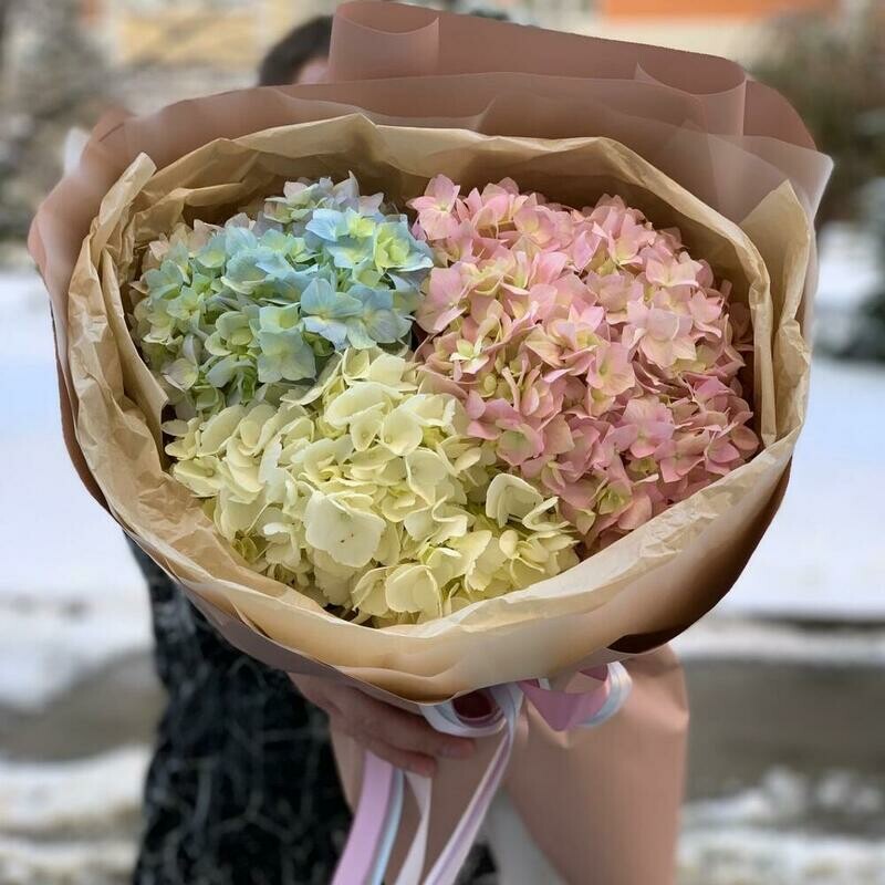 Три Гортензии, стандартный