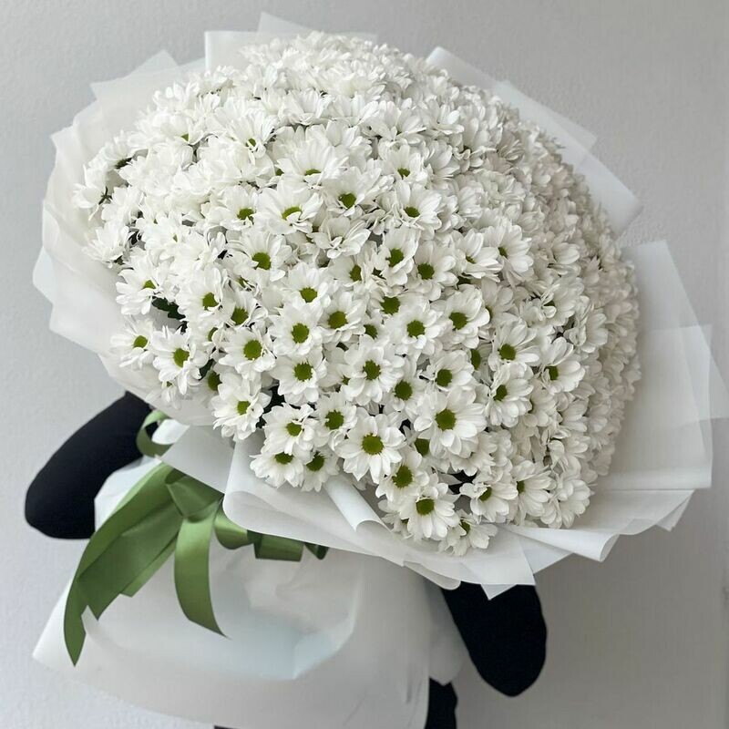 A huge bouquet of chrysanthemums, buket ogromnih hrizantem
