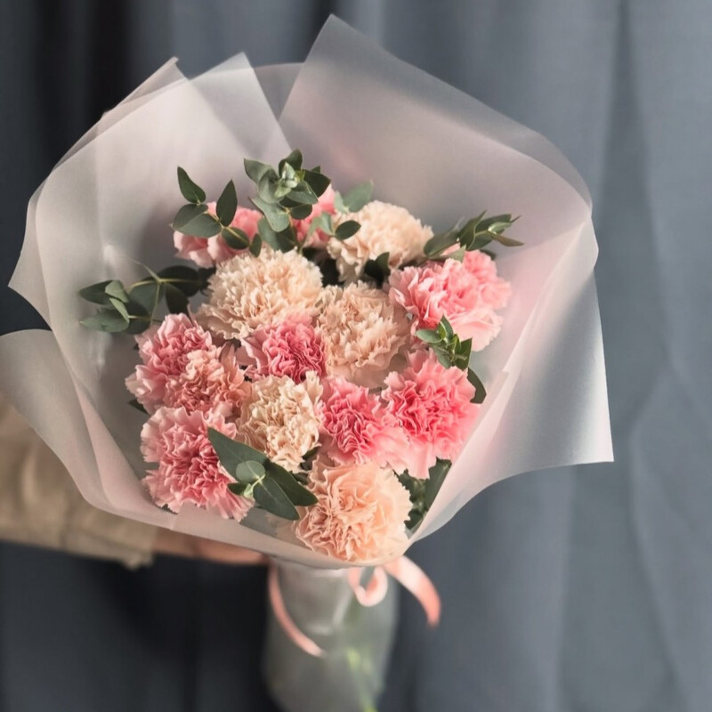 Гвоздики, 13 гвоздик