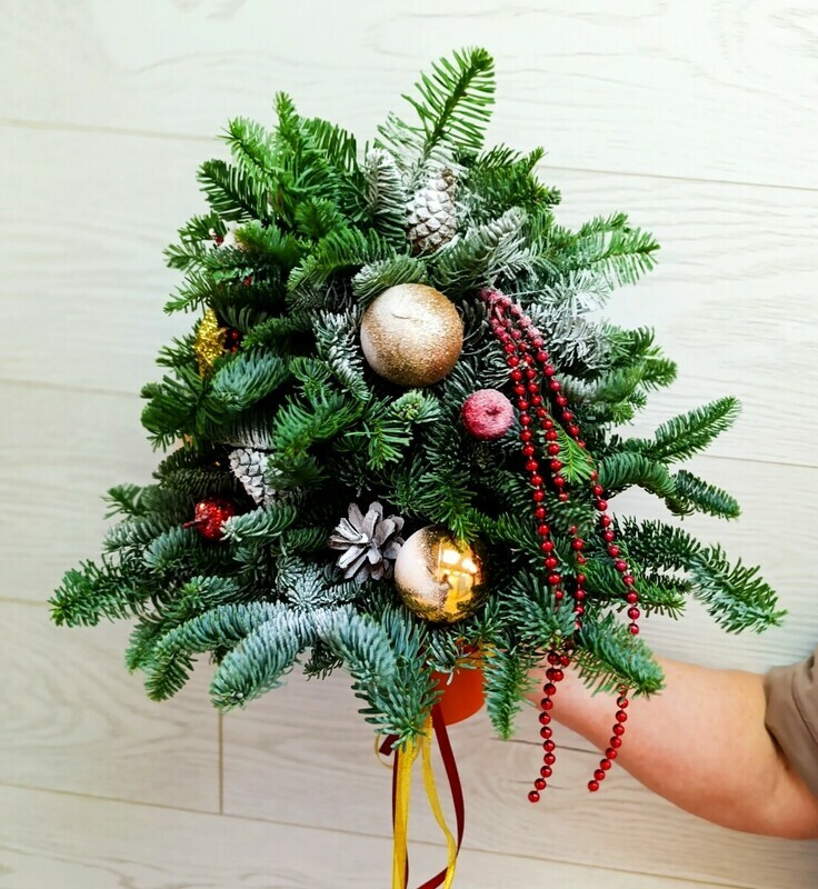 Елочка из нобилиса , нобилис