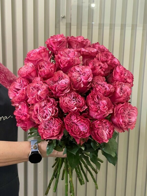 malinovij punsh, malinovij punsh